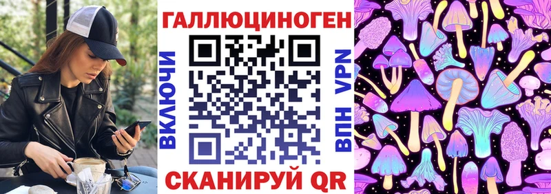 KRAKEN ссылки  Пласт  Галлюциногенные грибы Magic Shrooms 